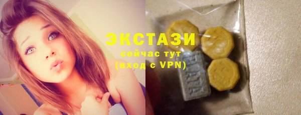 гашик Алексин