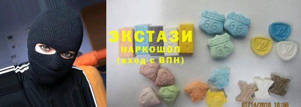 гашик Алексин