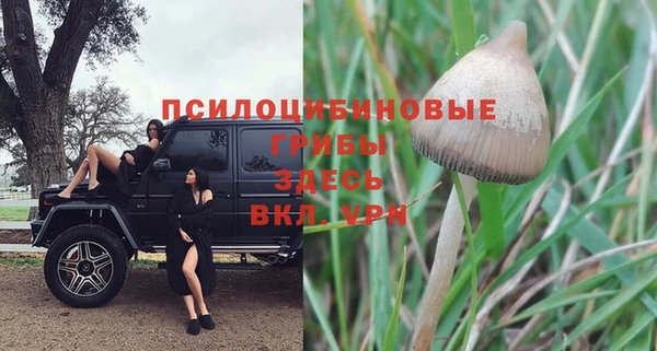 метадон Сафоново