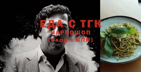 гашик Алексин