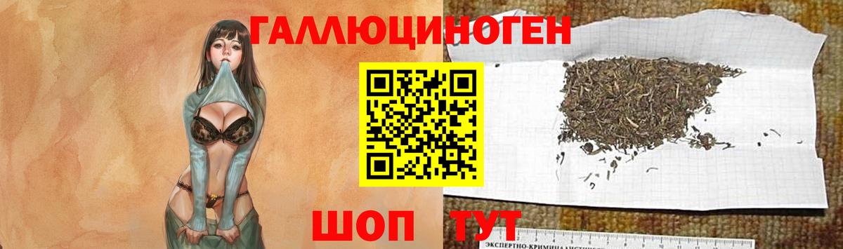 Галлюциногенные грибы MAGIC MUSHROOMS  Вход с VPN  Арсеньев 